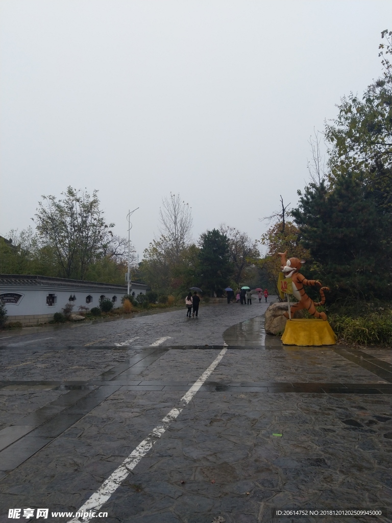 雨天的公园风景