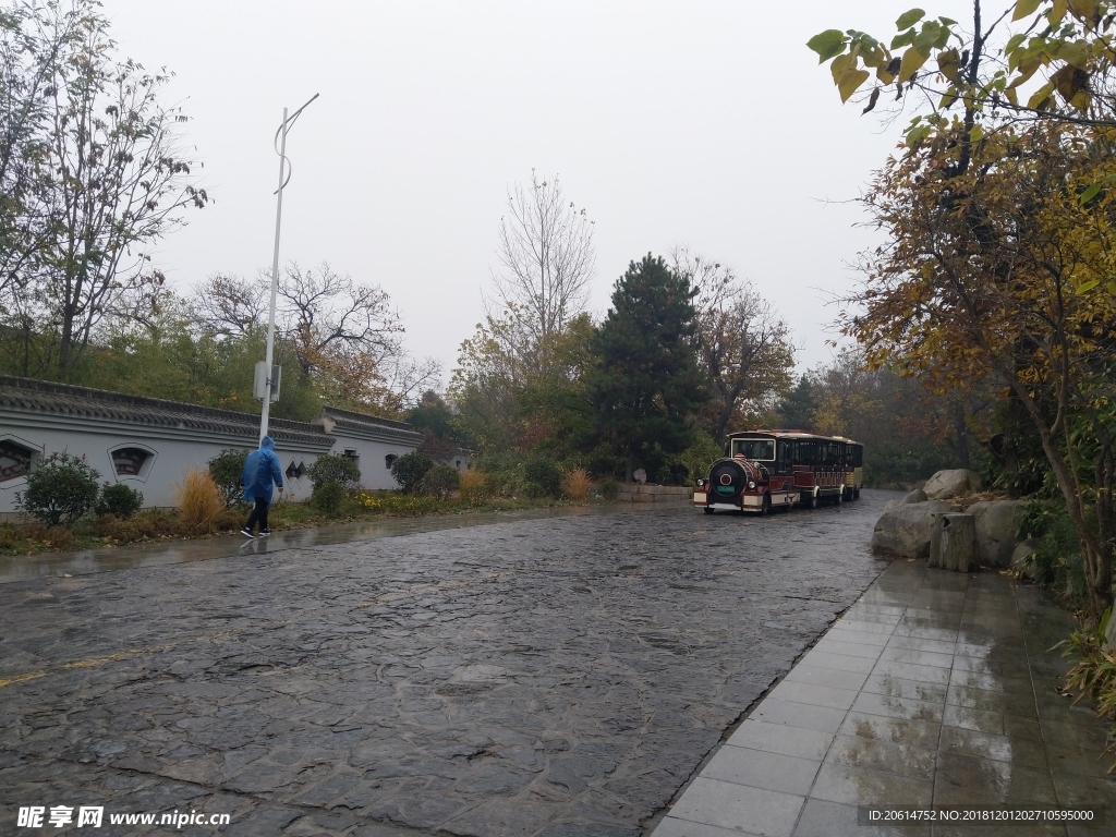 雨天的公园风景