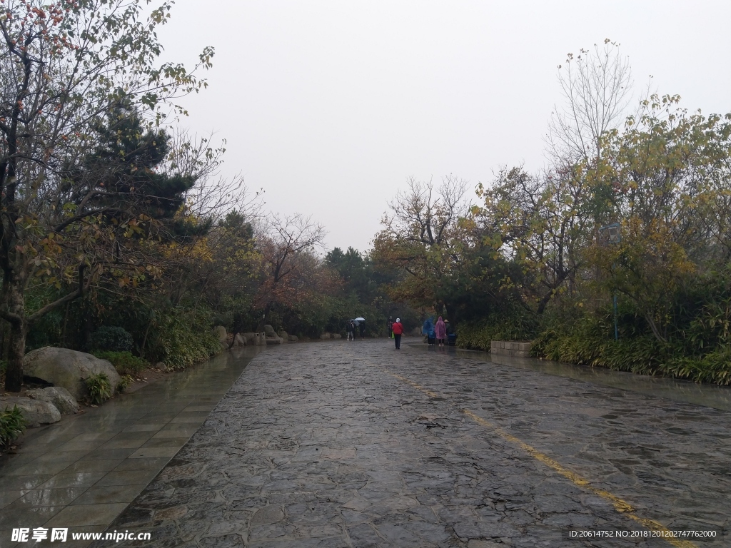 雨天的公园风景