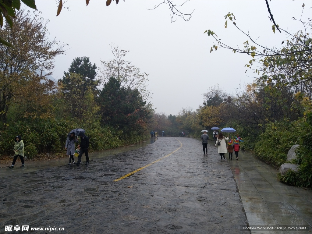 雨天的公园风景