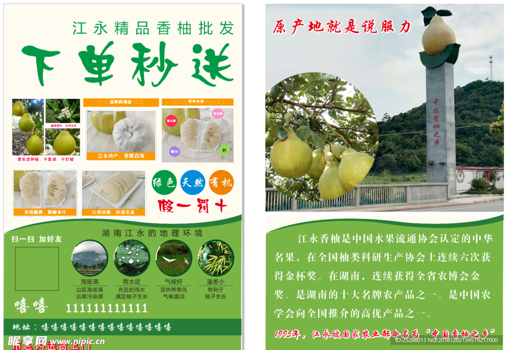 柚子宣传单
