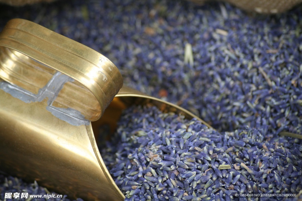 熏衣草 熏衣草茶