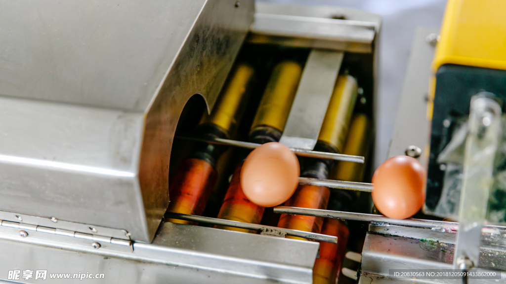 鸡蛋筛选处理机器设备