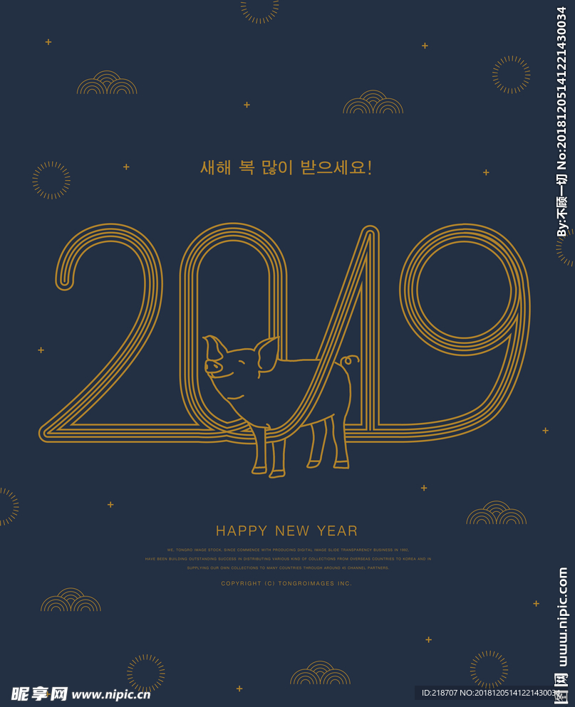 2019猪年