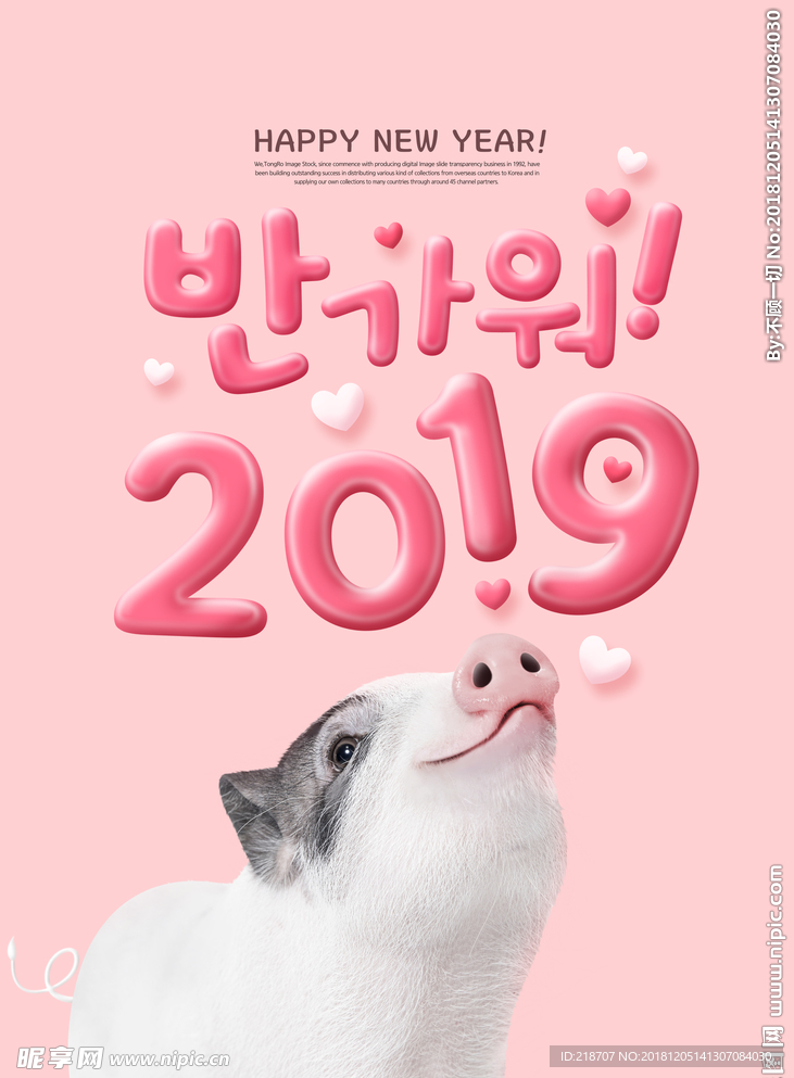 2019猪年