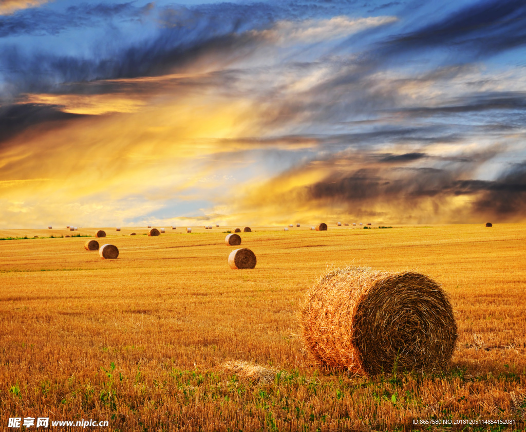 光 云 天空 朝霞 晚霞 背景