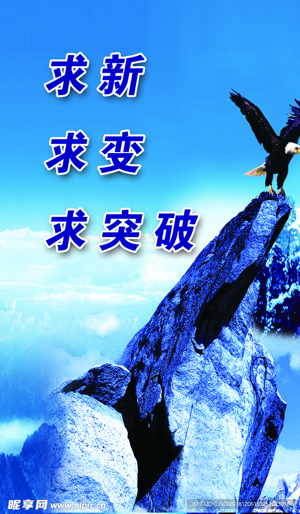 求新  飞鹰  高山