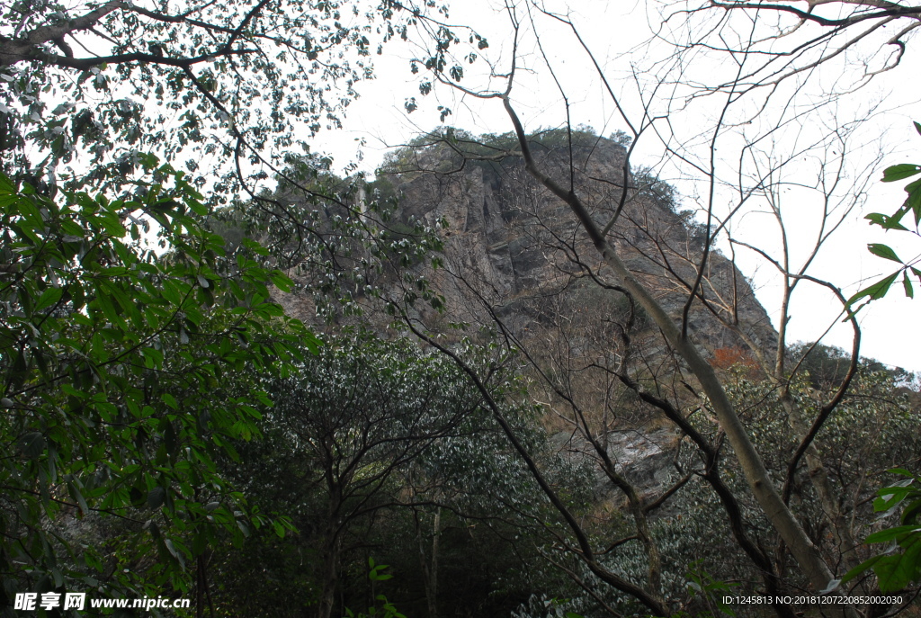 甘爵风光 山寨 仙寓山 森林