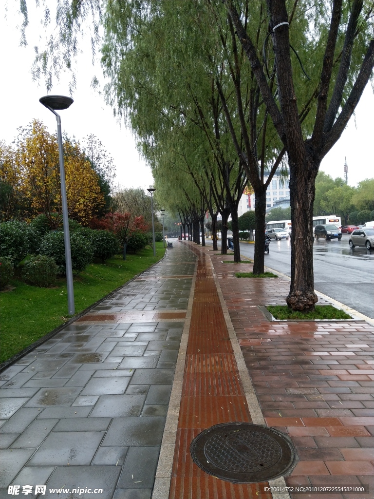 雨天的城市美景