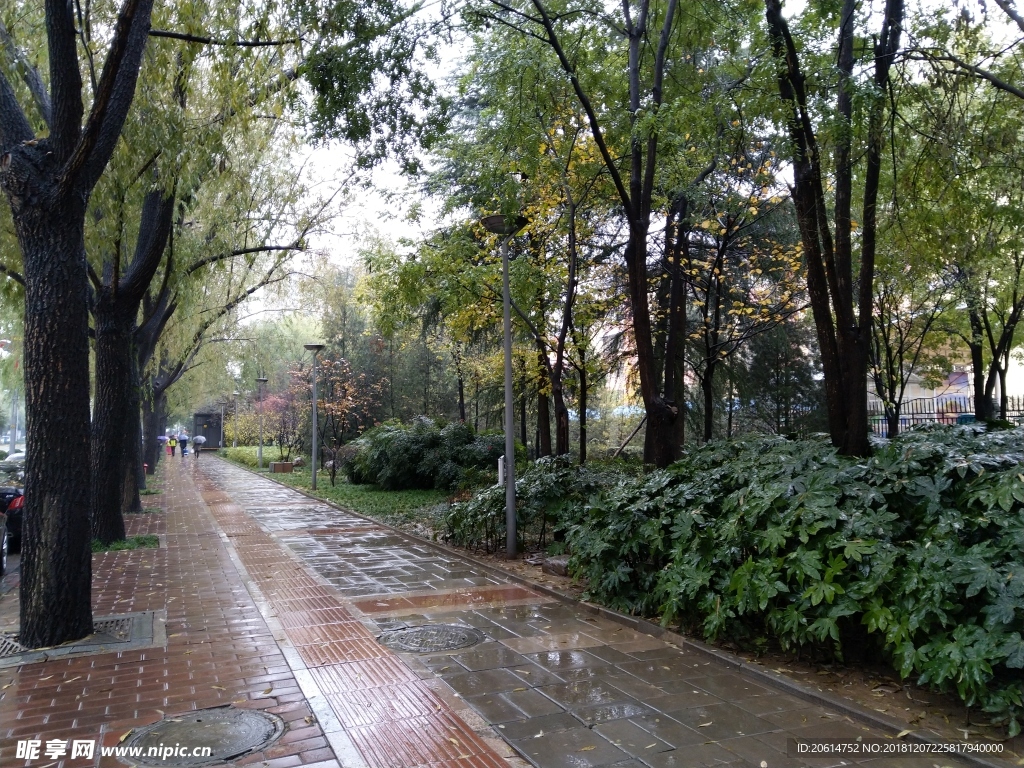 雨天的城市街道风景