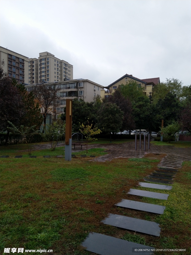 雨天的公园风景