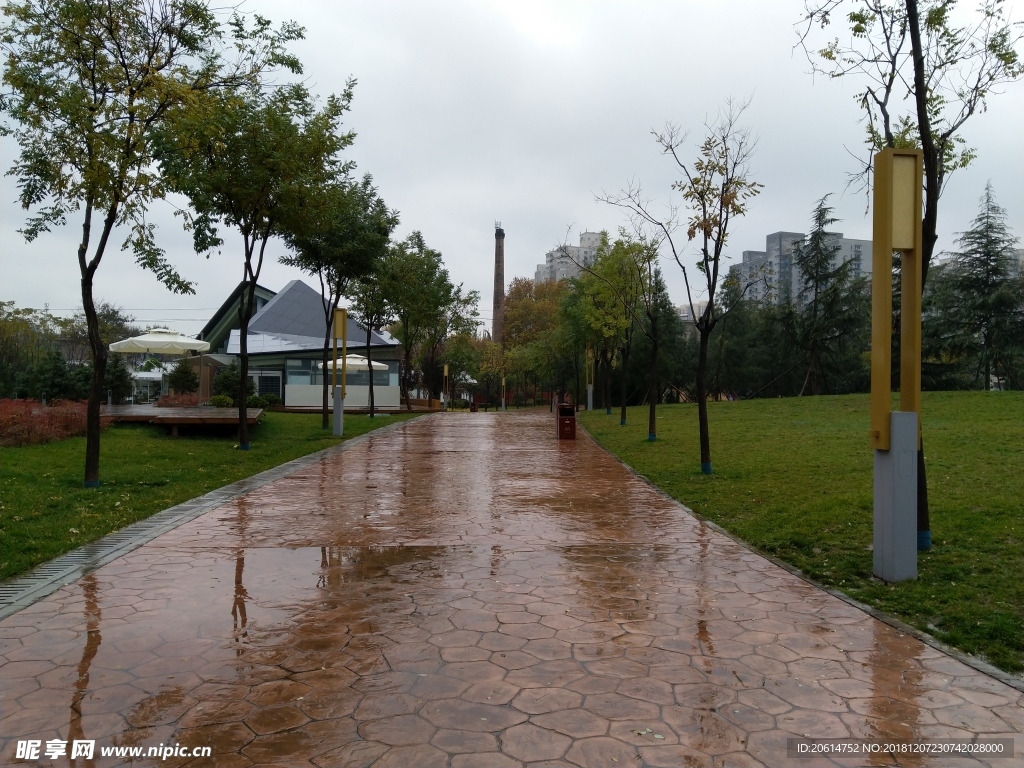 雨天的公园美景