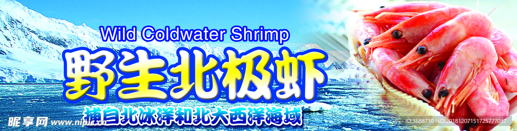 野生北极虾