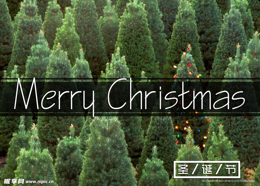 圣诞节主题设计