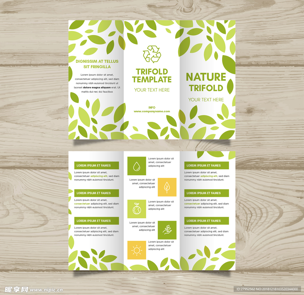 绿叶三折页