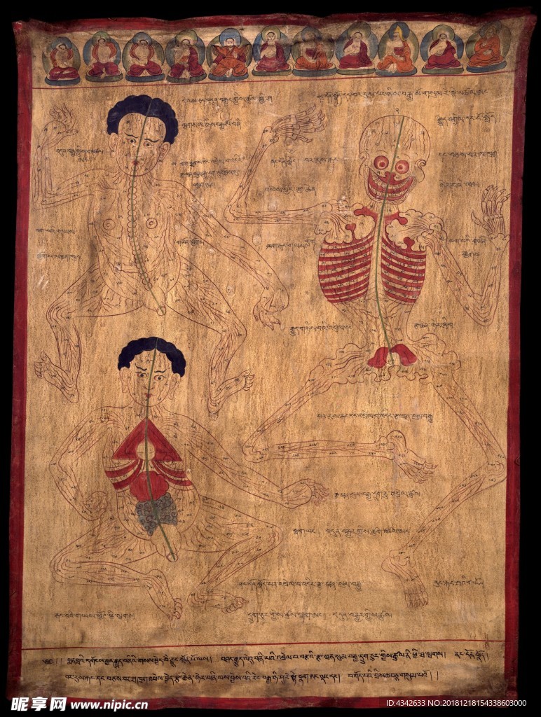 藏医 藏药 唐卡