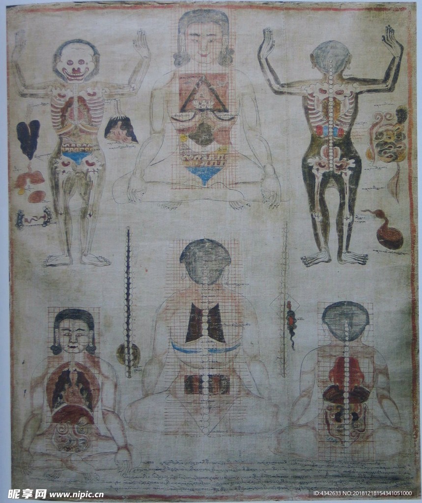 藏医 藏药 唐卡