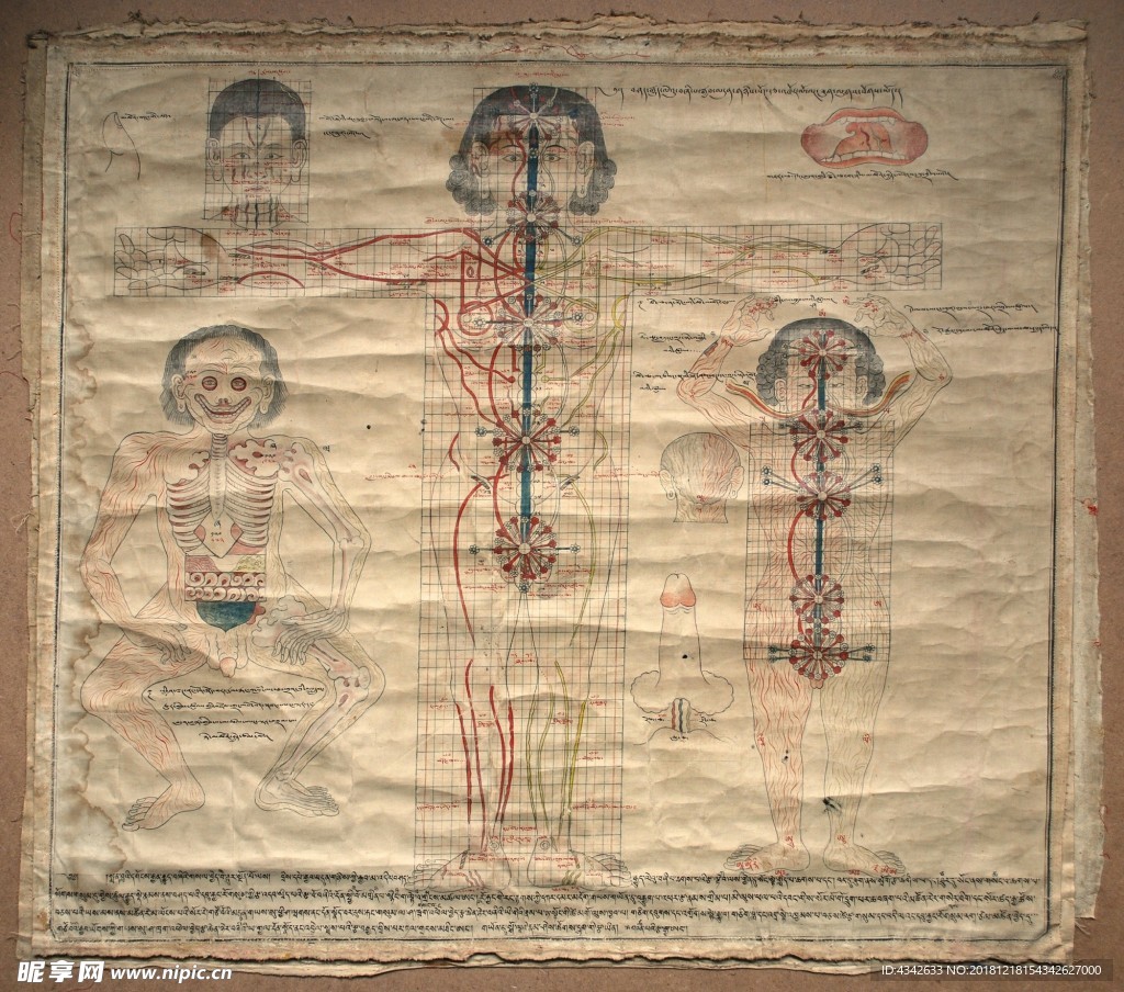 藏医 藏药 唐卡