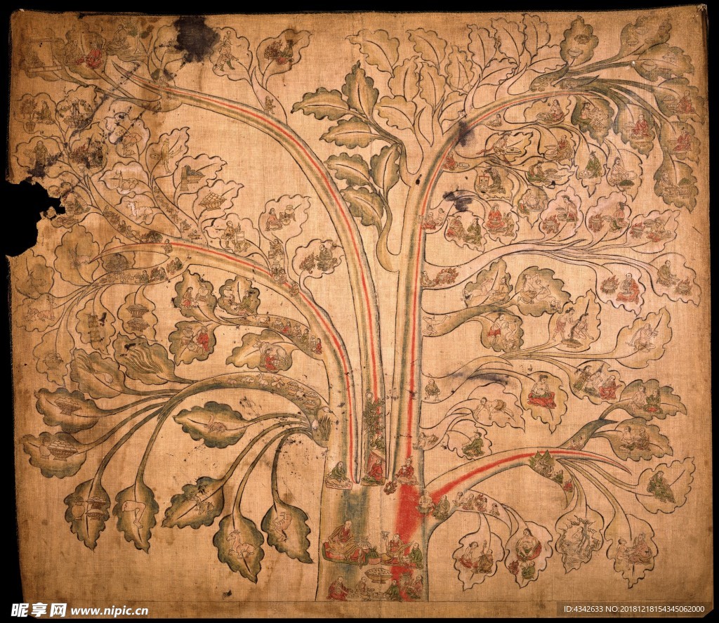 藏医 藏药 唐卡