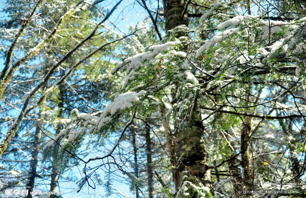 长白山 西坡大峡谷