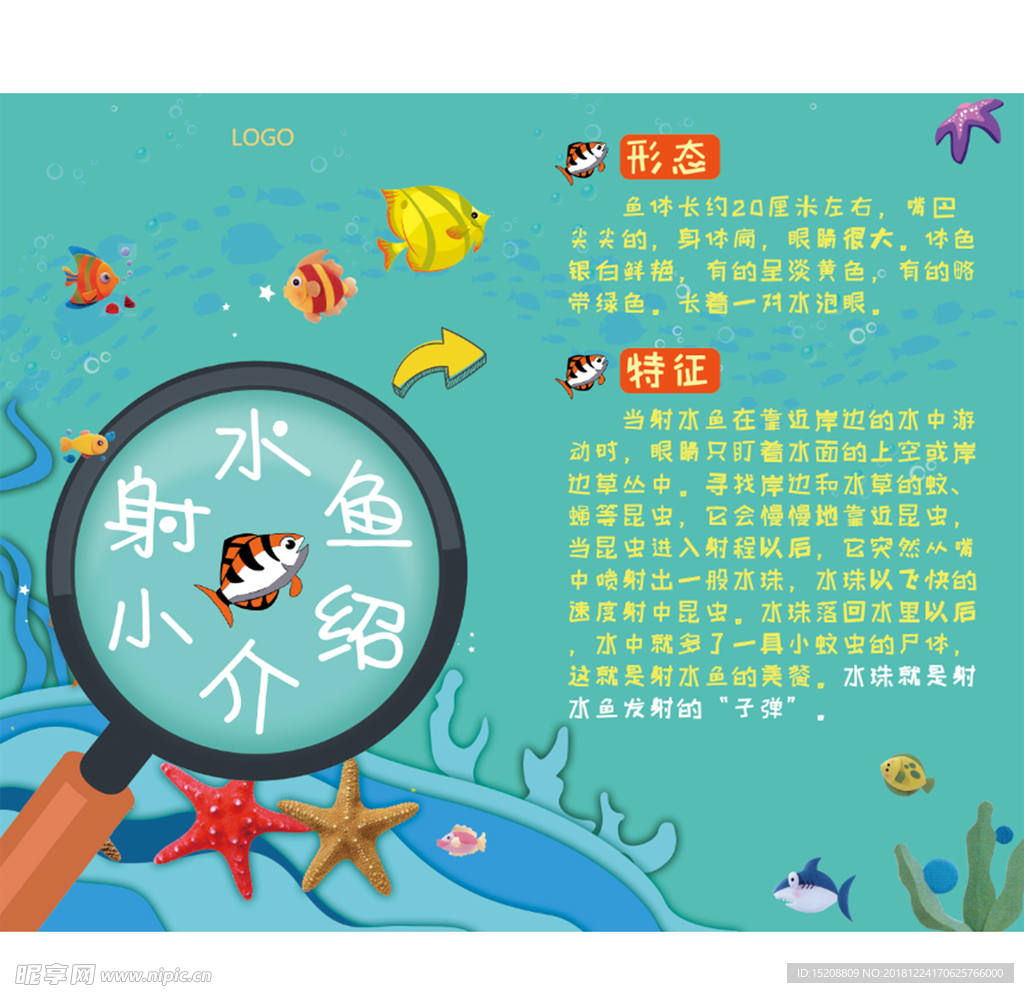 射手鱼科普介绍