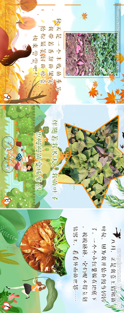 幼儿园 儿童绘本 插画