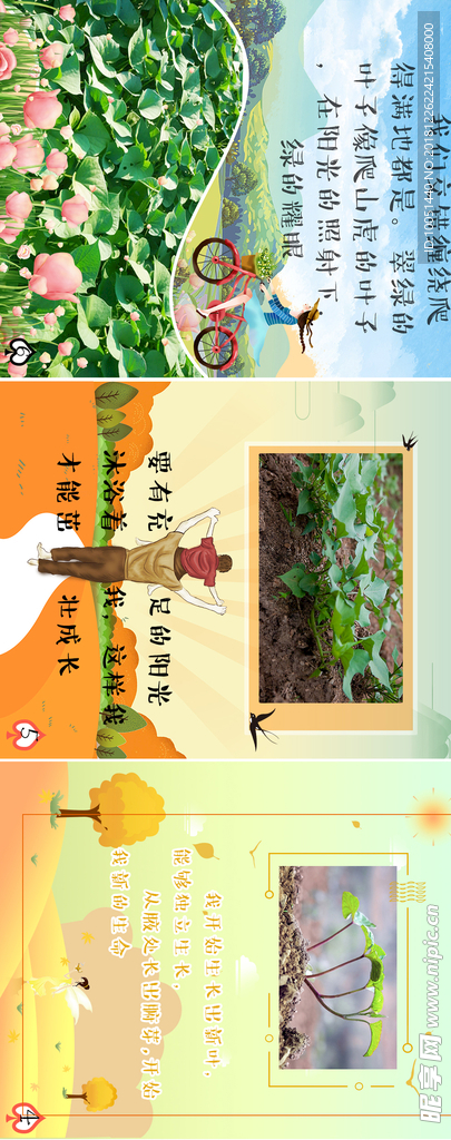 幼儿园 儿童绘本 插画