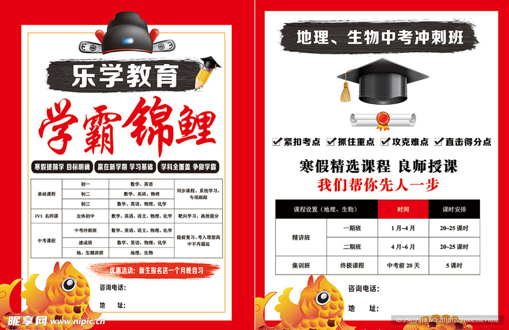 学霸鲤鱼  教育单页