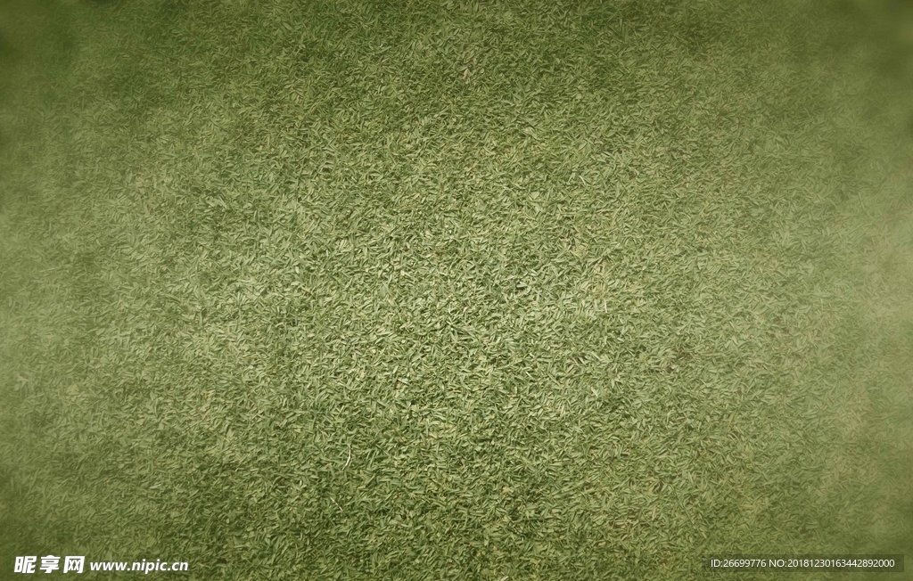 绿色背景 草地肌理