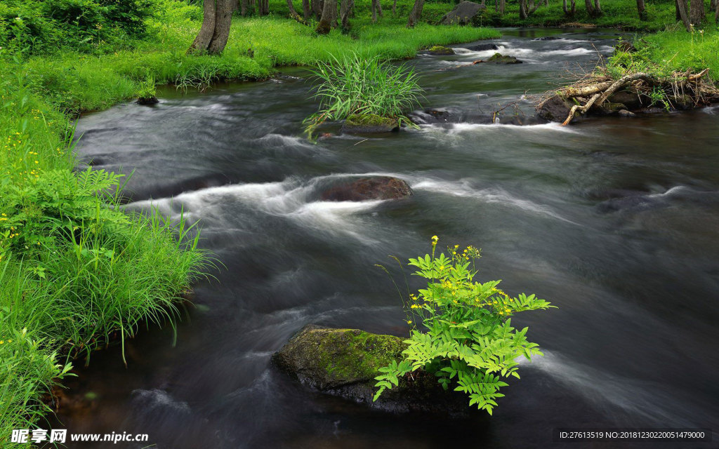 山野里的小溪图片