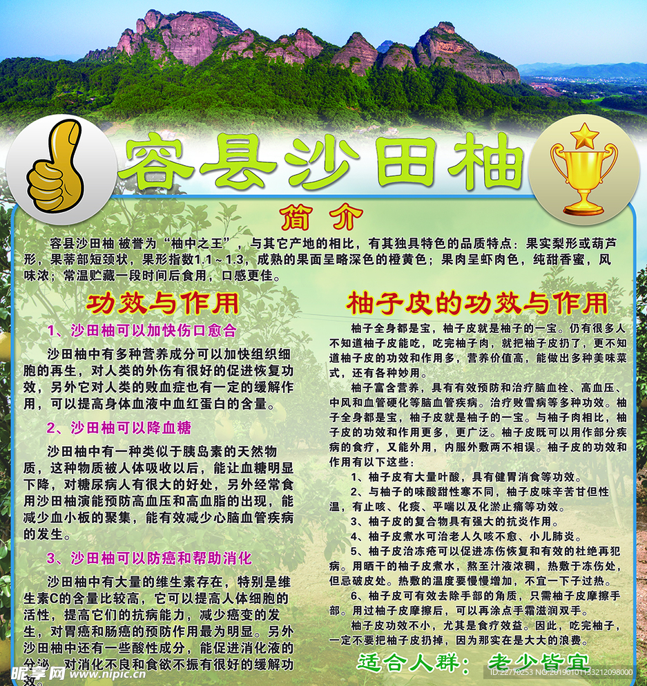 容县沙田柚都峤山简介说明海报