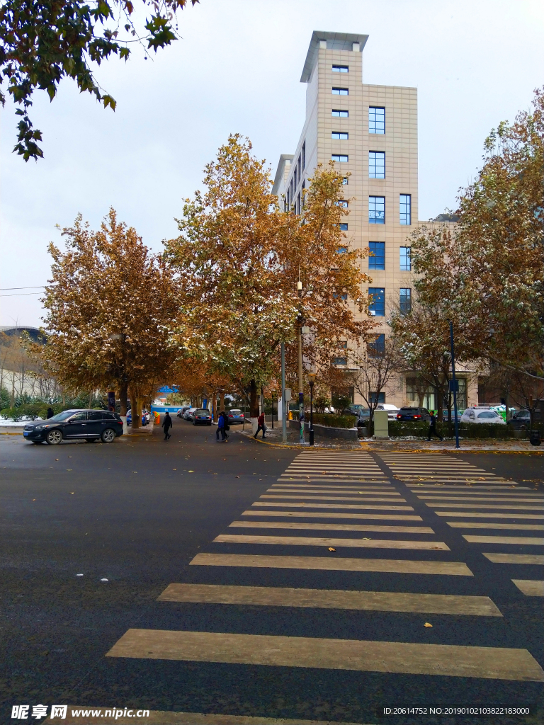 冬日里的城市街道