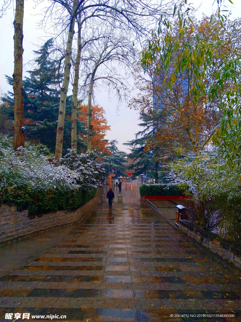 冬日里的公园风景