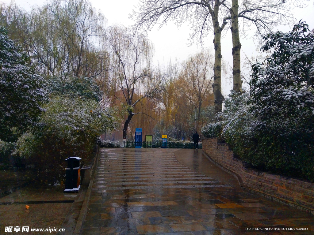 雪天下的公园风景