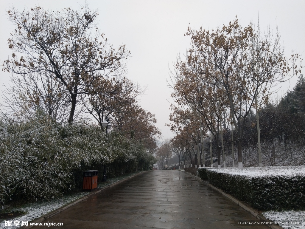 冬日里的公园风景