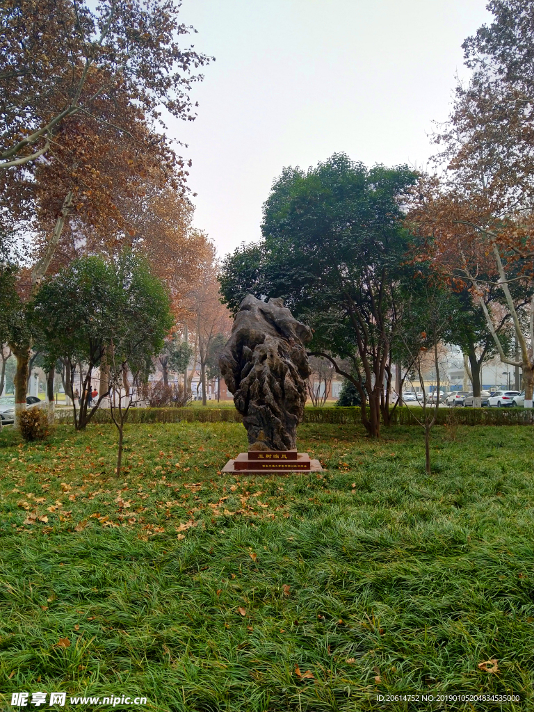 美丽的公园风景