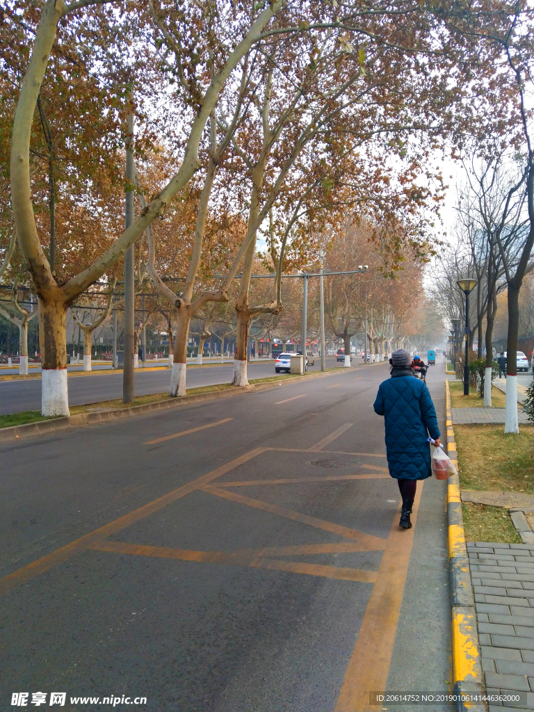 深秋时节的城市道路