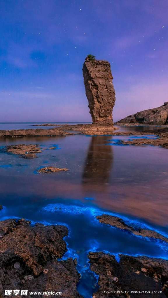 奇幻的荧光海风景图片