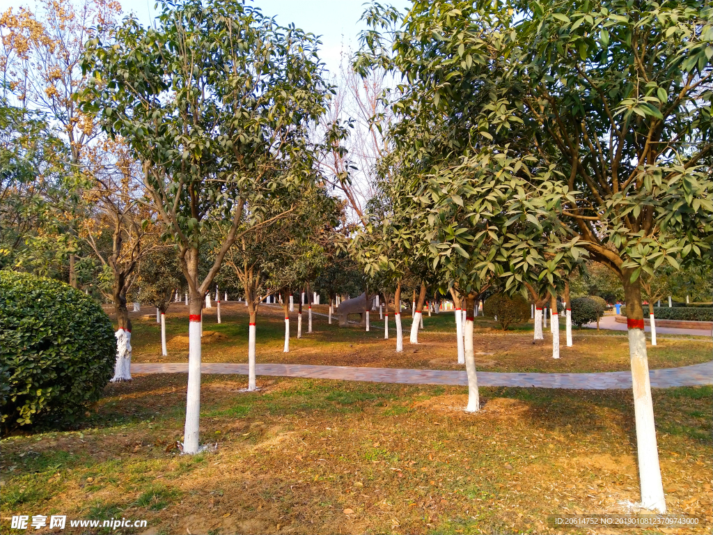 美丽的公园风景