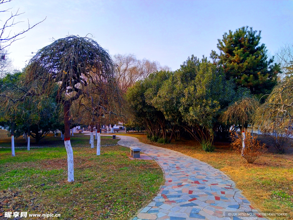 日暮下的公园风景