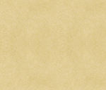 牛皮纸 纹理  黄牛皮