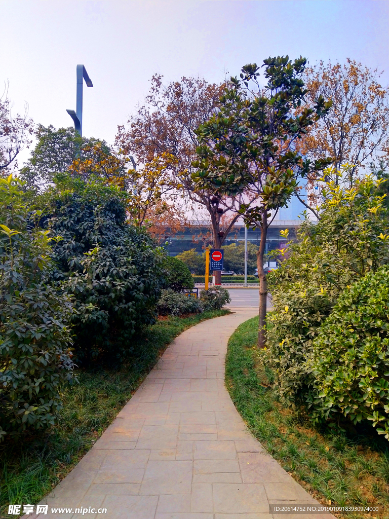 空荡荡的公园风景