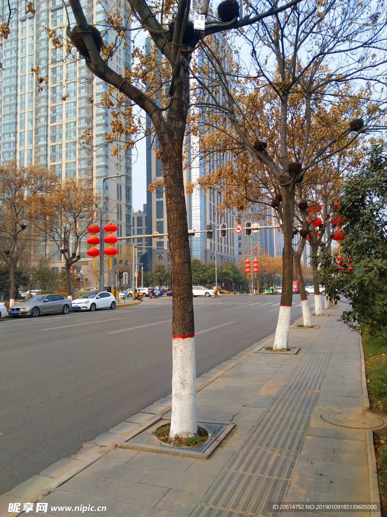 美丽的城市道路