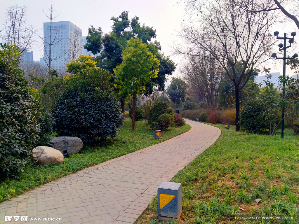 美丽的公园风景