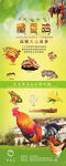 藏香鸡竖式宣传文件 带分层
