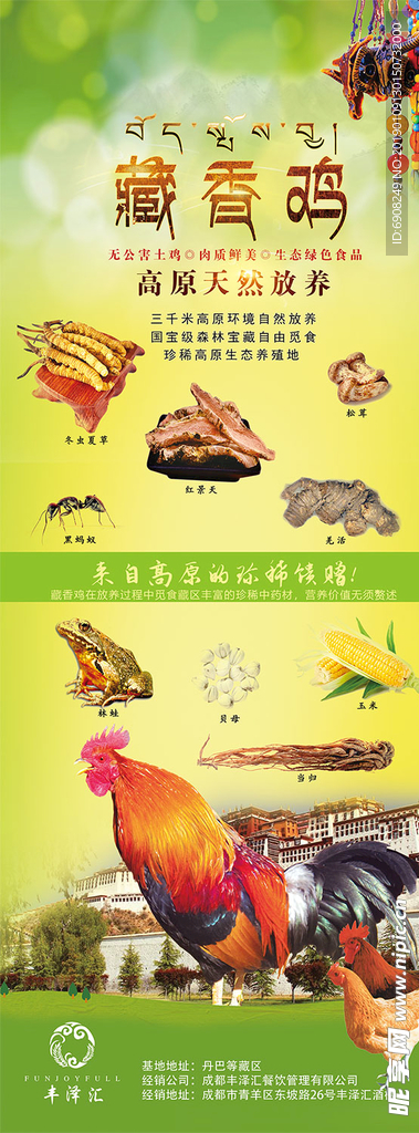 藏香鸡竖式宣传文件 带分层