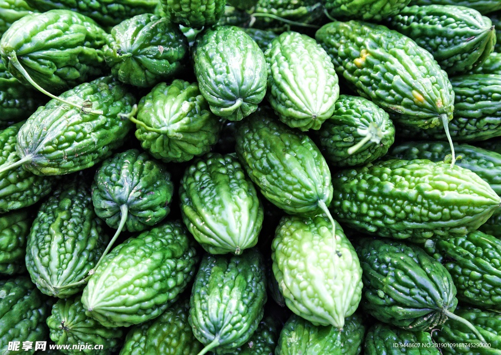 绿色苦瓜图片