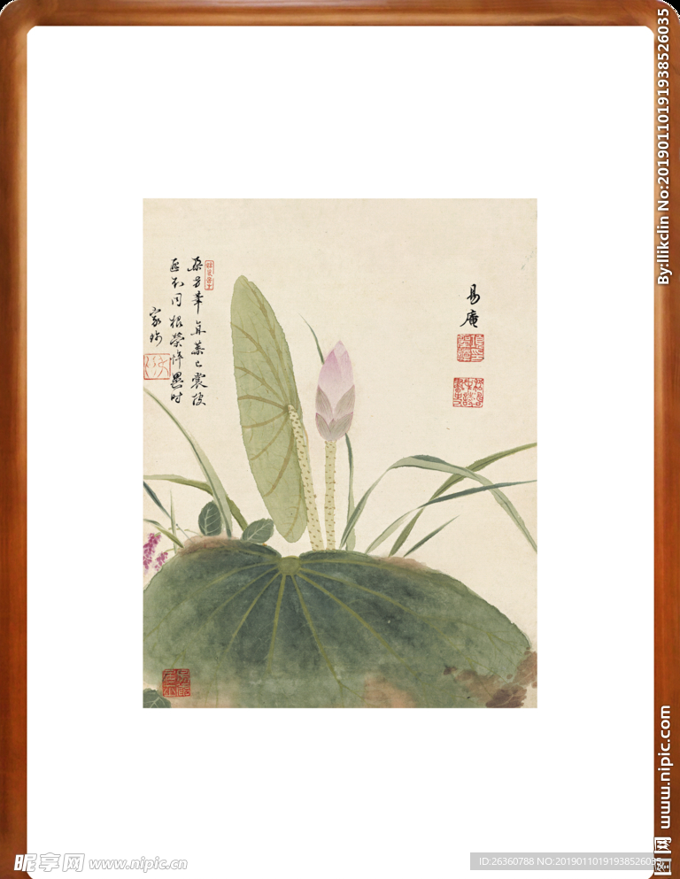 项圣谟花卉荷花