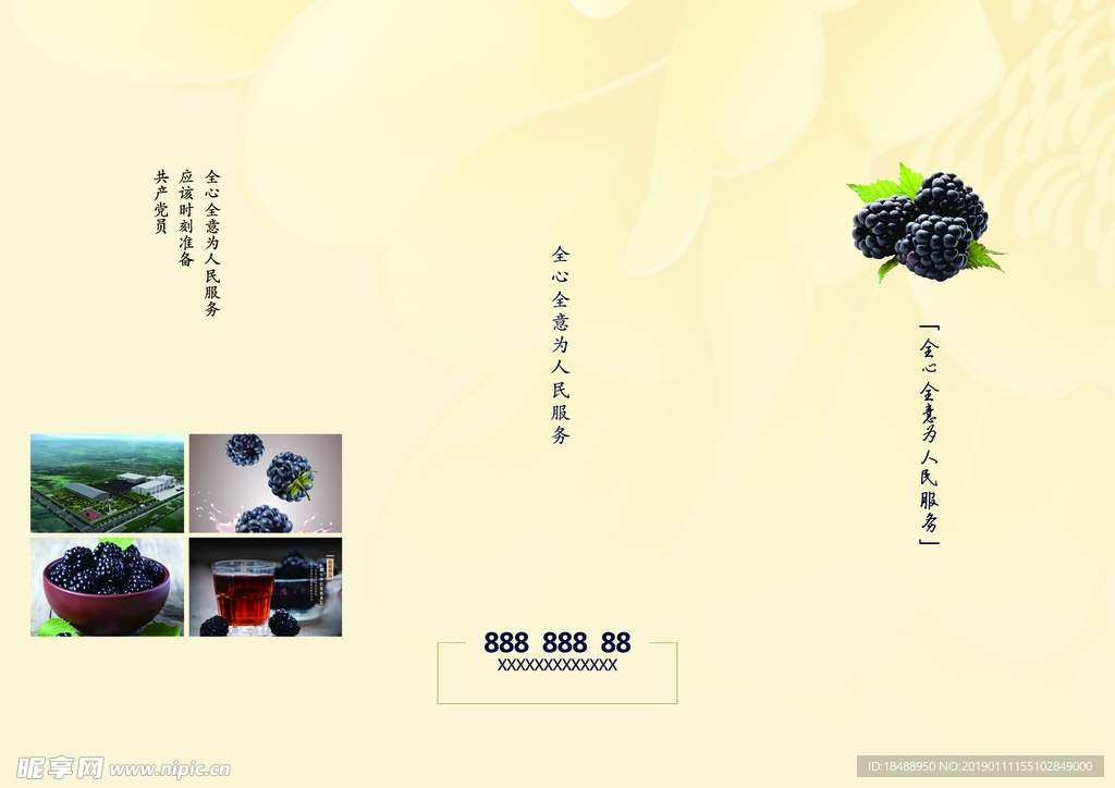 三折页 黑莓说明书 印刷设计