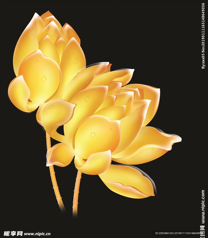 手绘金黄色荷花金色莲花